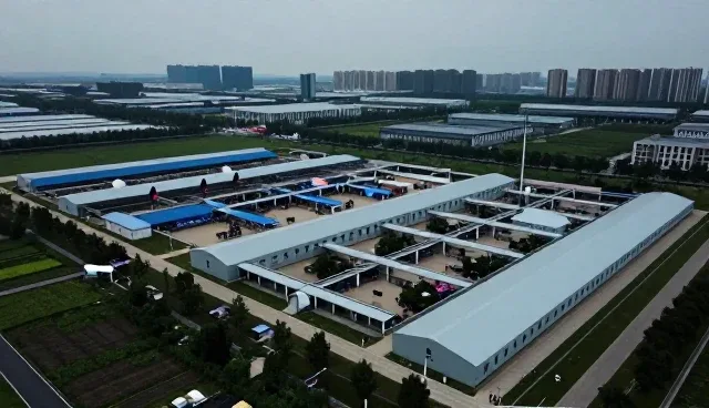 系统稳定性在技术转让中的关键影响与应对策略